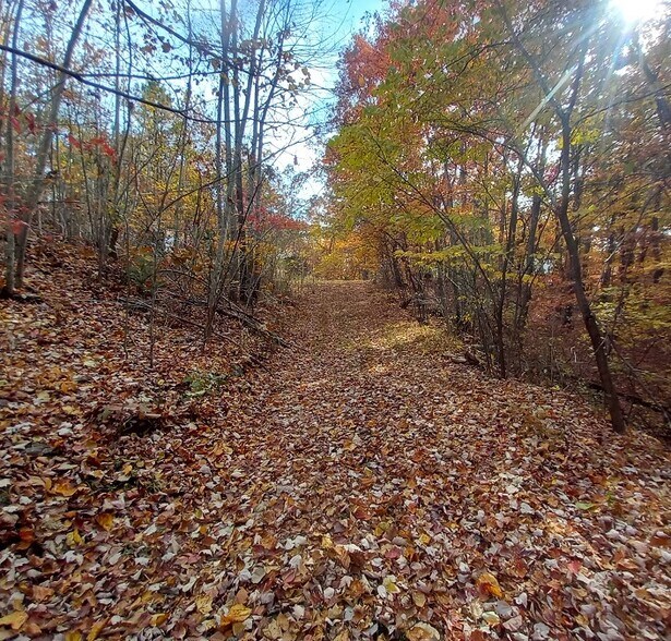 More Photos Of 1737A High Rock Rd, Stanton Land For Sale