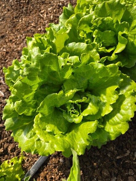 More Photos Of 3526 Front St, Palisade Specialty For Sale