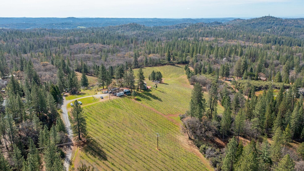 More Photos Of 4771 Greenhills Rd, Placerville Winery Vineyard For Sale