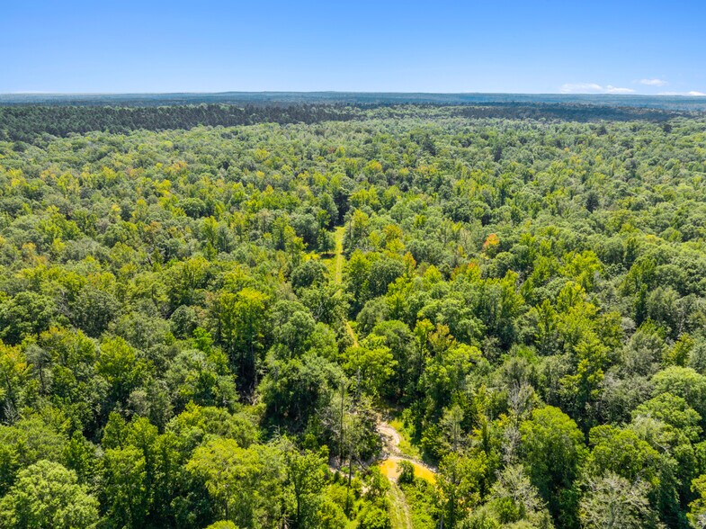 More Photos Of 7471 Highway 155, Saline Land For Sale