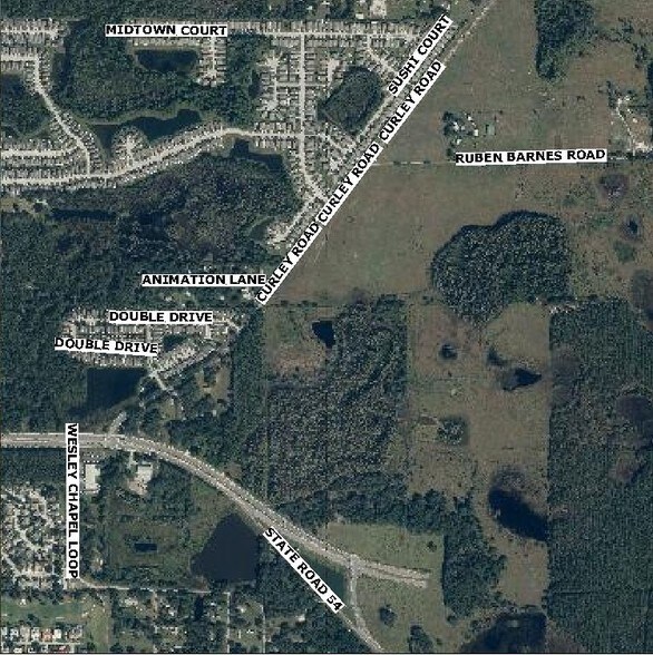 More Photos Of 30607 State Road 54, Wesley Chapel Land For Sale