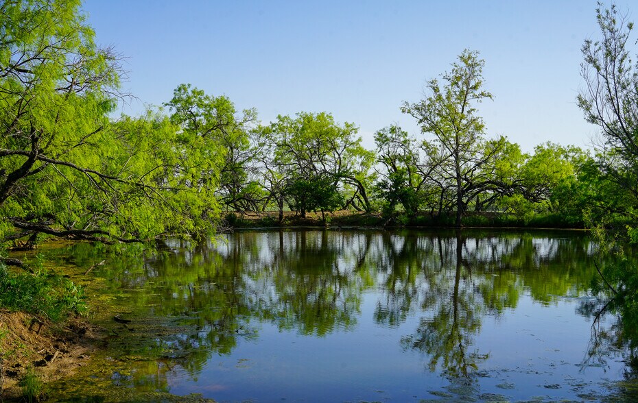 More Photos Of 723 FM 2926, Baird Land For Sale