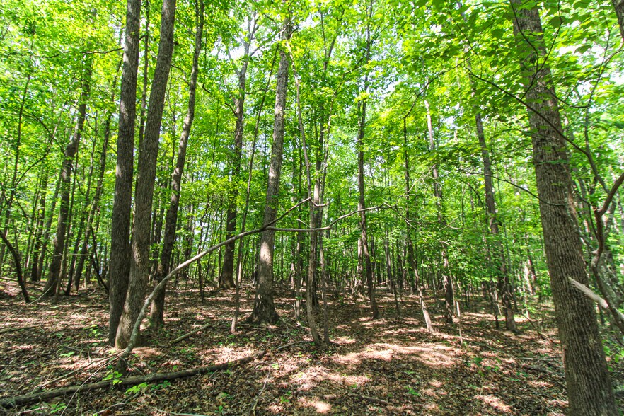 More Photos Of Powell Rd, Statham Land For Sale