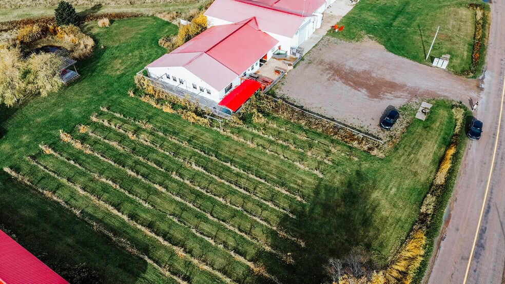 More Photos Of 851 Route 970, Baie Verte Winery Vineyard For Sale