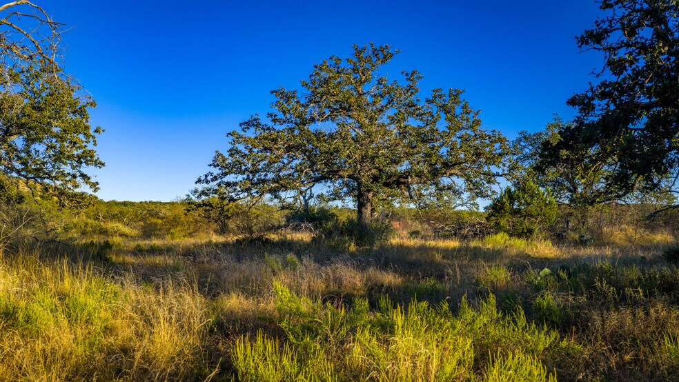 More Photos Of 7499 US 87 hwy, Mason Land For Sale