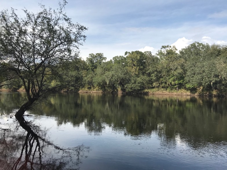 Primary Photo Of NW CR 250, Mayo Land For Sale