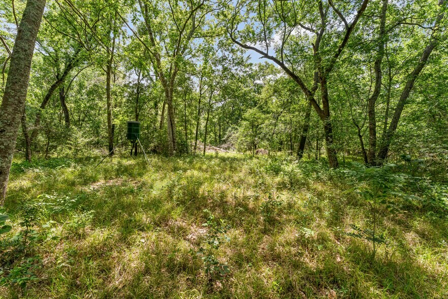 More Photos Of 10840 FM 442, Boling Land For Sale