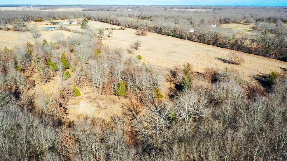 More Photos Of 1200 County 1255 rd, Detroit Land For Sale