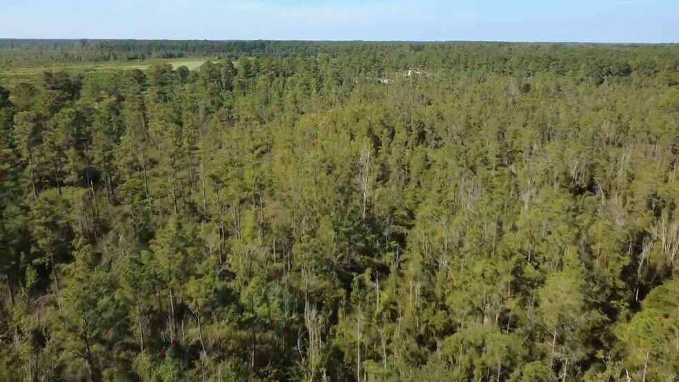 More Photos Of 0 Cane Branch Rd, Walterboro Land For Sale