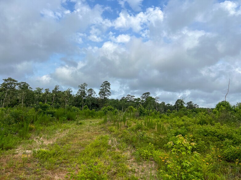 More Photos Of Farm to Market Road 1725, Willis Land For Sale