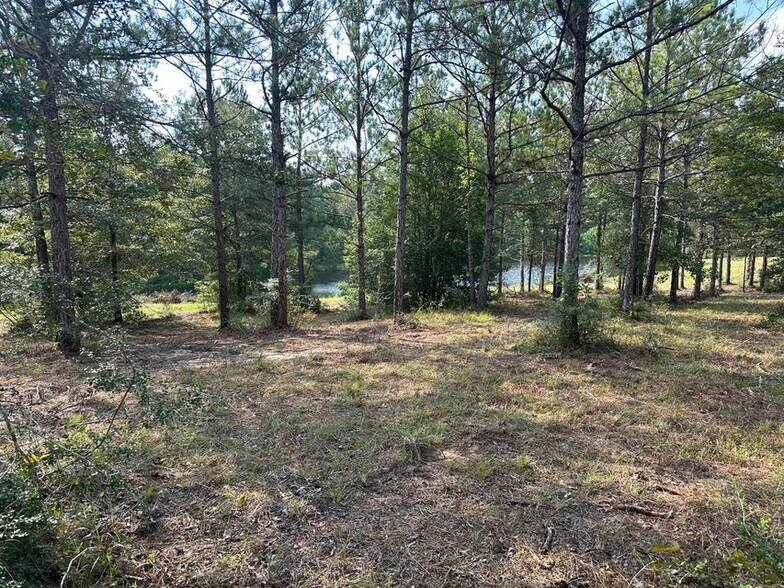 More Photos Of TBD North Star Estates Leesville LA 71446, Leesville Land For Sale