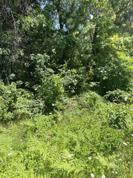 More Photos Of Hwy 12/16 & 60th St, Wisconsin Dells Land For Sale