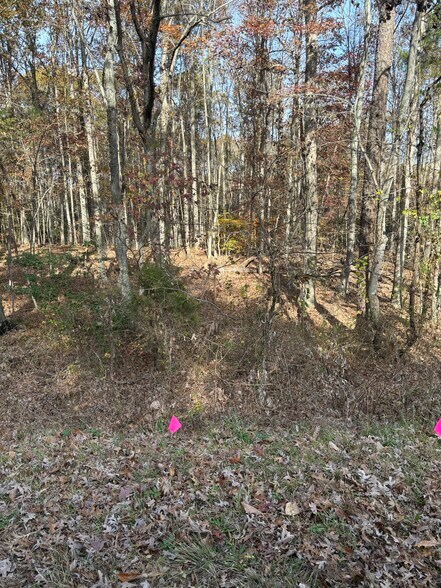 More Photos Of 3207 Broad st, Gum Spring Land For Sale