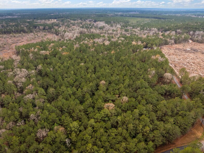 More Photos Of TBD 11 acres Tatoo Rd, Glenmora Land For Sale