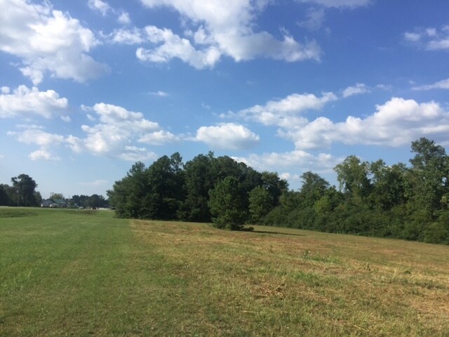 More Photos Of Joe Frank Harris Pky, Adairsville Land For Sale