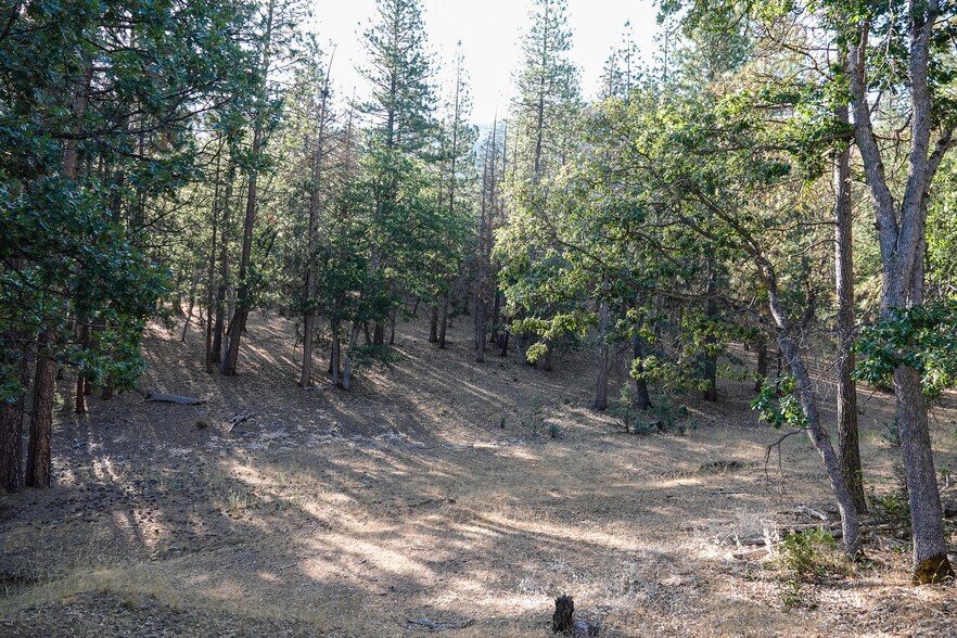 More Photos Of 0 East Rd, Fort Jones Land For Sale