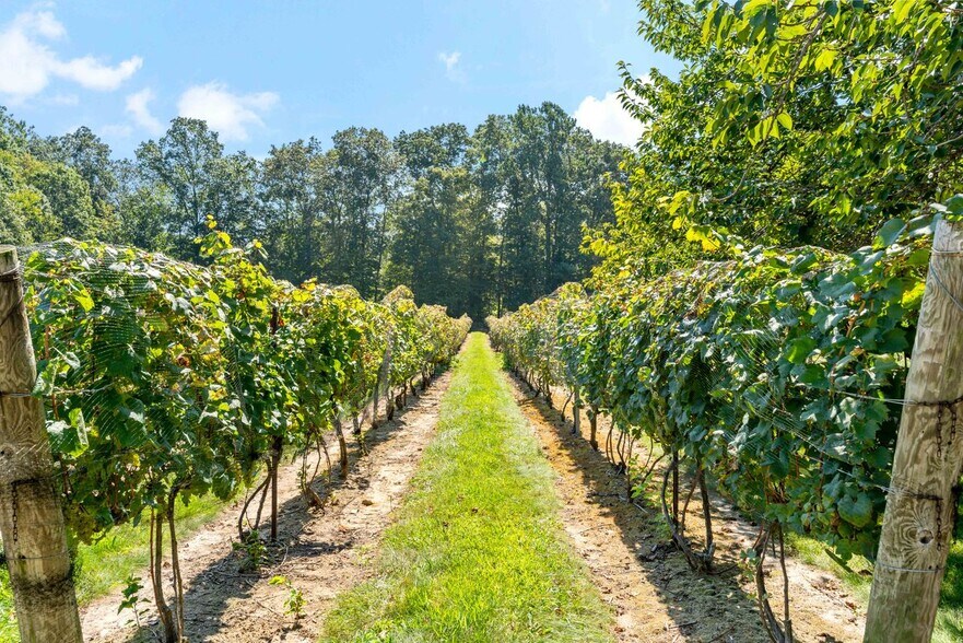 More Photos Of 115 Cow Hill Rd, Clinton Winery Vineyard For Sale