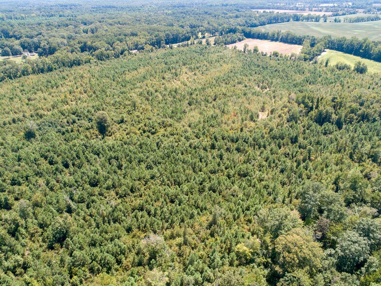 More Photos Of 0 Jimree Avenue Ave, Fayetteville Land For Sale