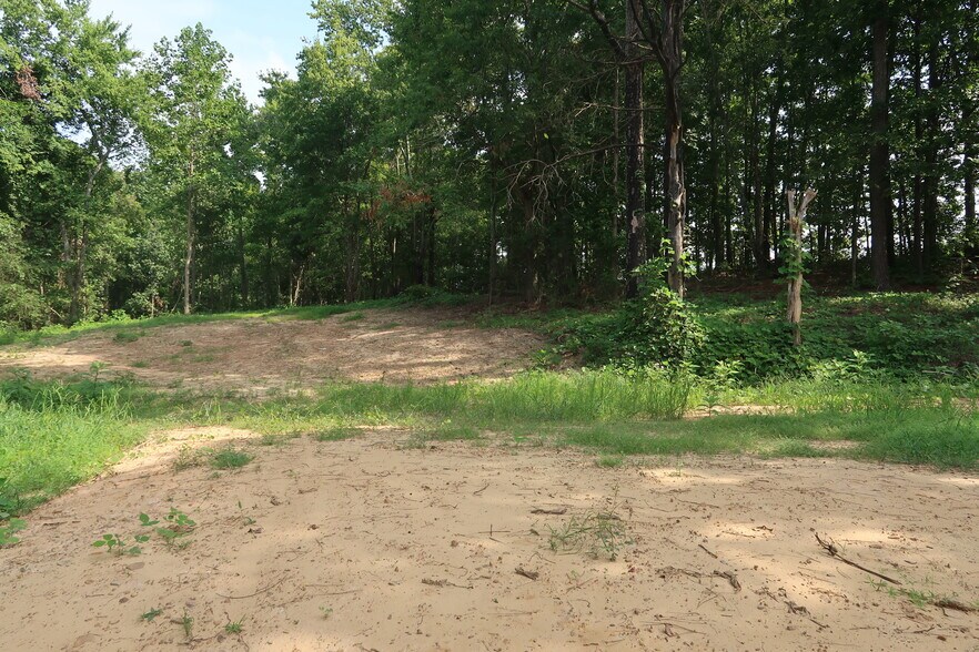 More Photos Of 14959 AL Highway 157, Vinemont Land For Sale