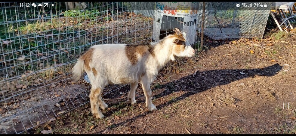 More Photos Of , Catskill Unknown For Sale