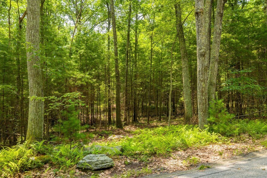 More Photos Of 219 Pomfret St, Putnam Land For Sale