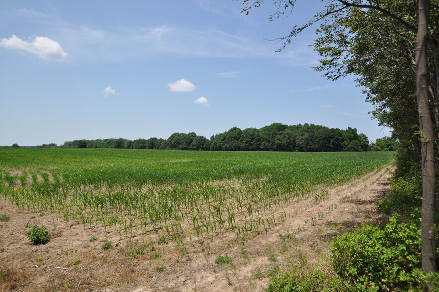 More Photos Of 3860 E River Rd, West Henrietta Land For Sale