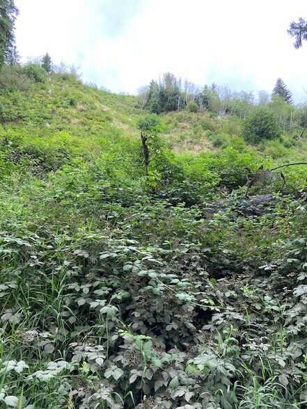 More Photos Of TL 203 Beaver Creek, Seal Rock Land For Sale