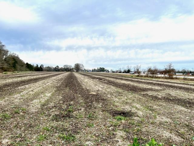 More Photos Of 8291 GA Highway 67, Brooklet Land For Sale