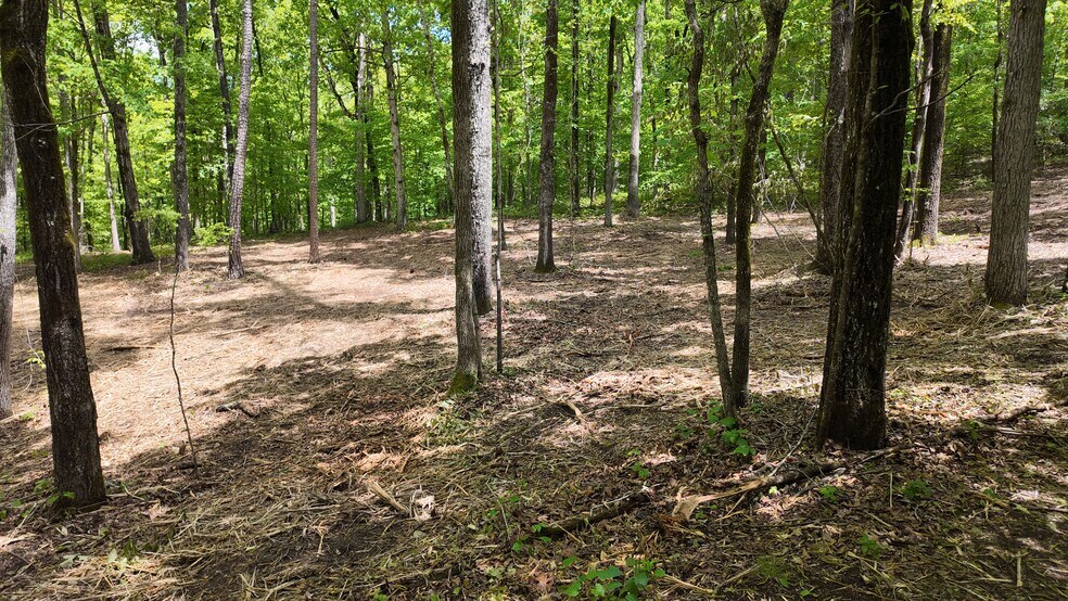 More Photos Of 0 Bullock Bridge Rd, Monroe Land For Sale