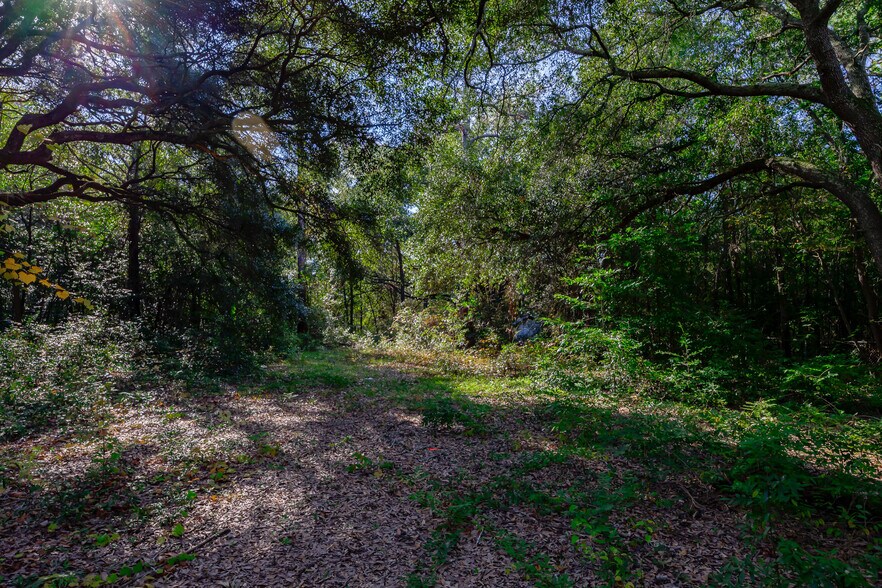 More Photos Of 10612 Two Notch Rd, Elgin Land For Sale