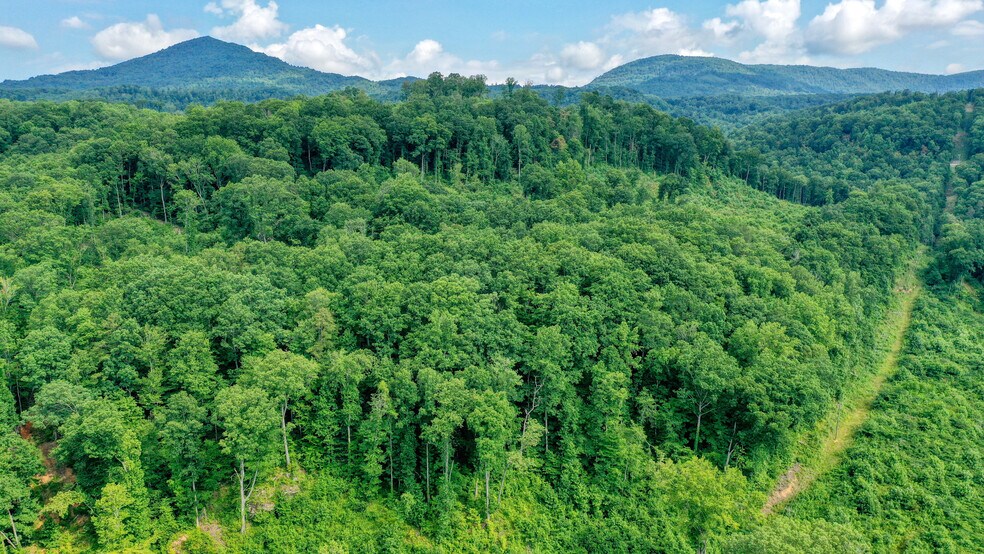 Dutch, Briceville, TN 37710 Land For Sale