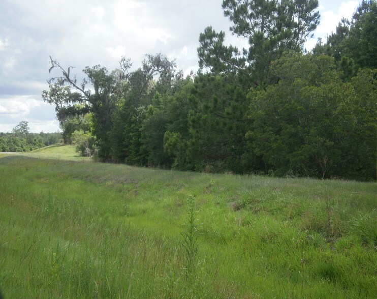 More Photos Of Cortez Blvd @ Near Mobley Road, Brooksville Land For Sale