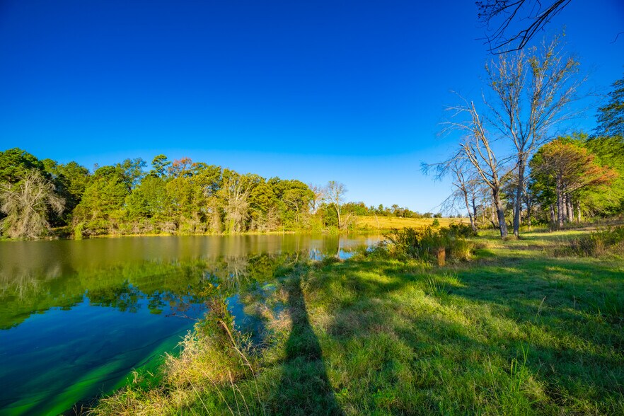 More Photos Of 391 Farm to Market 1519, Scroggins Land For Sale