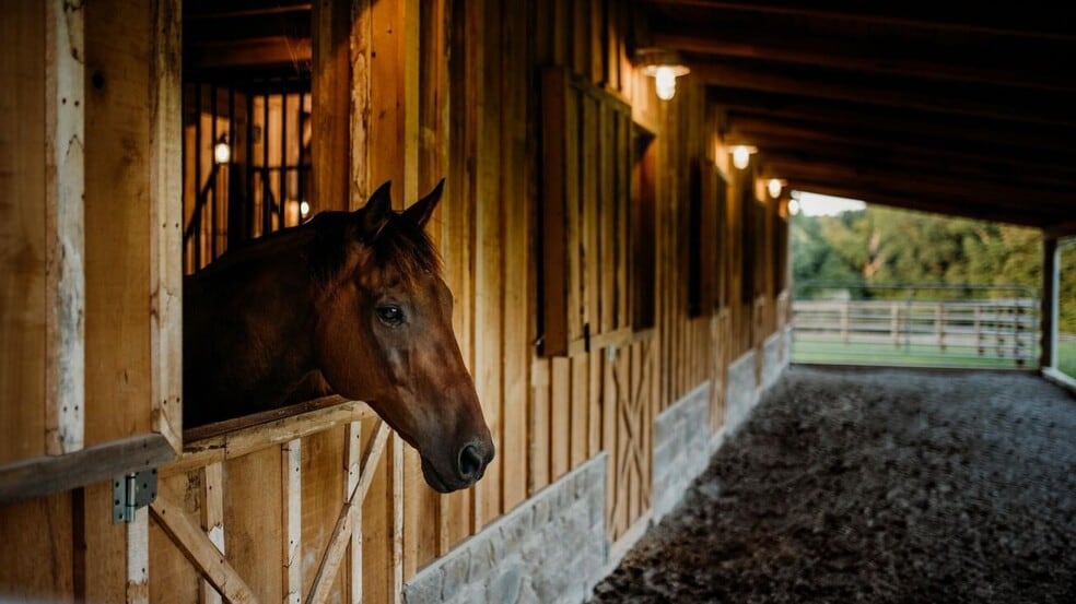 More Photos Of 3795 Turnersville Rd, Cedar Hill Lodge Meeting Hall For Sale