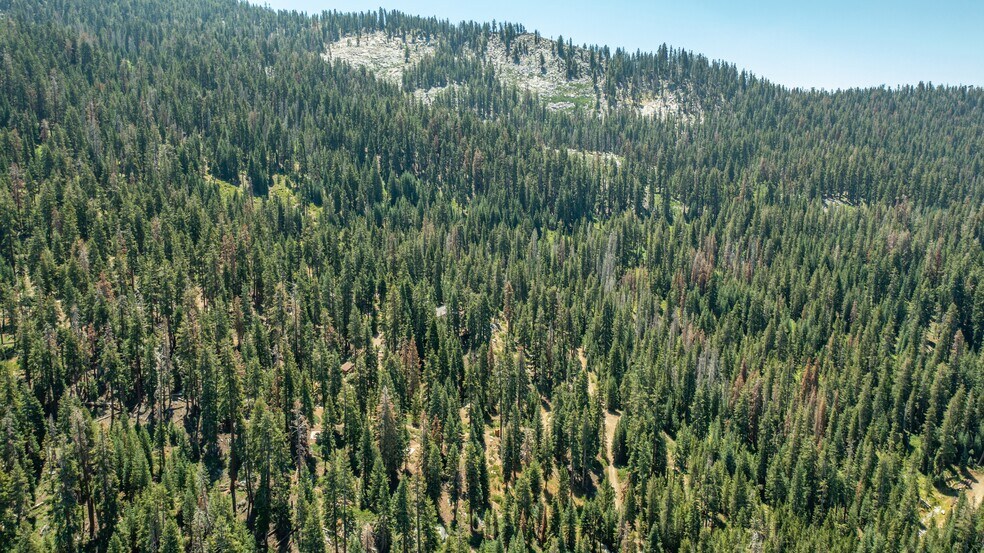 More Photos Of 65745 Big Meadows Road, Kings Canyon National Pk Land For Sale