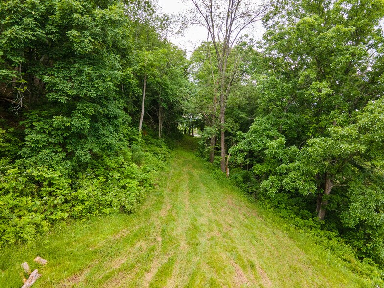 More Photos Of 31647 Charleston Rd, Leon Land For Sale