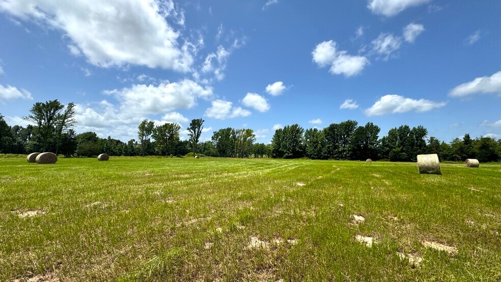 More Photos Of 13530 FM 773, Ben Wheeler Land For Sale