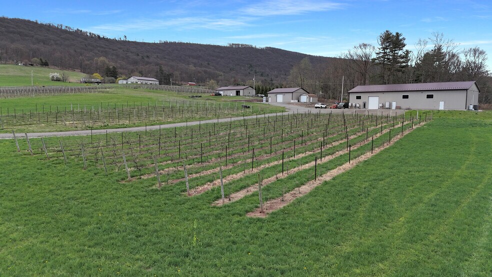 More Photos Of 596 Harman Rd, Halifax Winery Vineyard For Sale