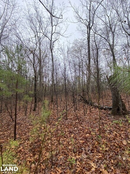 More Photos Of 0 Highway 280, Dadeville Land For Sale