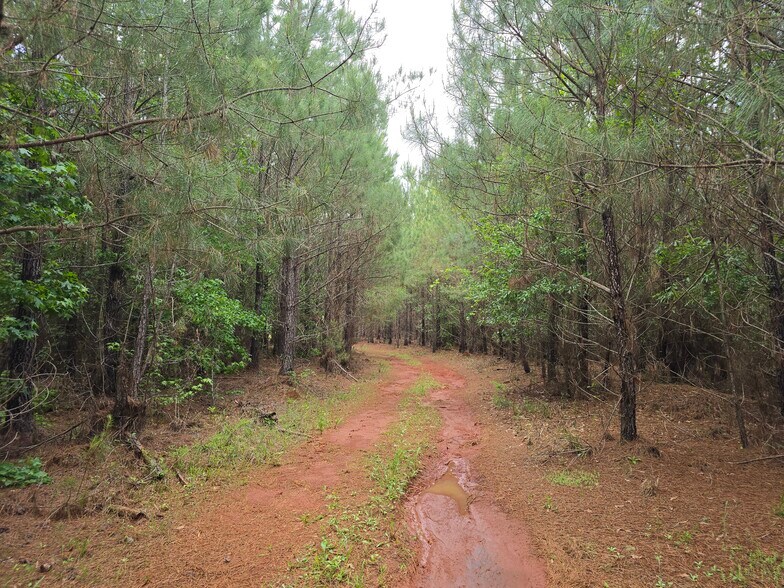 More Photos Of Davis Lake Rd @ Old Talbotton Rd, Thomaston Land For Sale