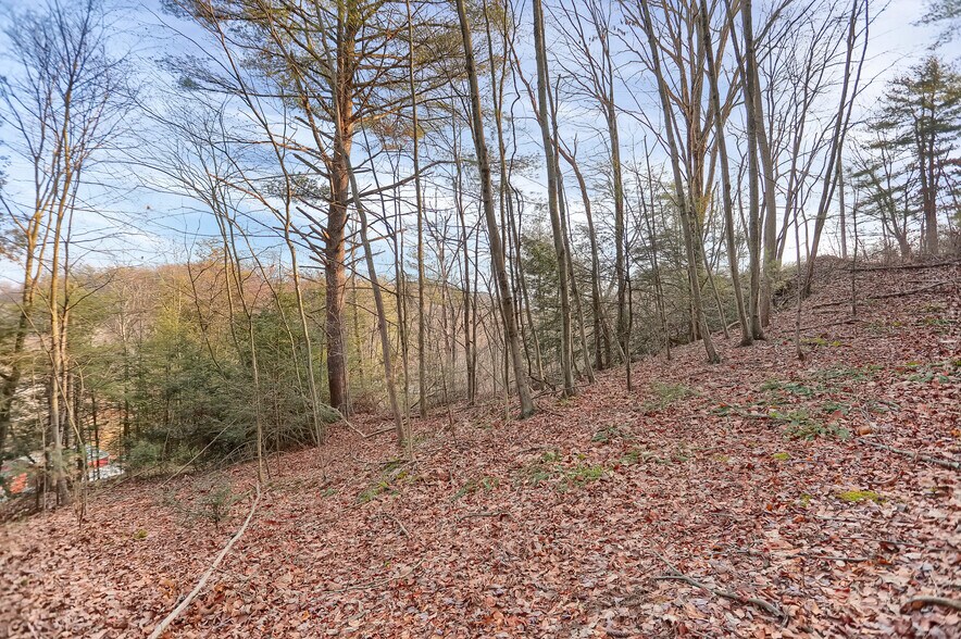 More Photos Of 703 Dauva Luch Rd, Herndon Land For Sale