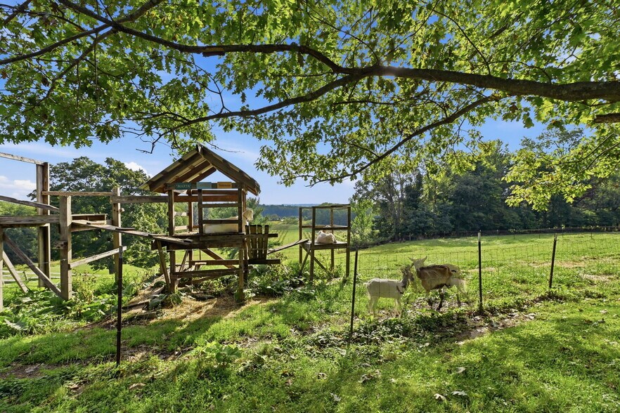 More Photos Of 2637 S Cleveland Massillon Rd, Barberton Winery Vineyard For Sale