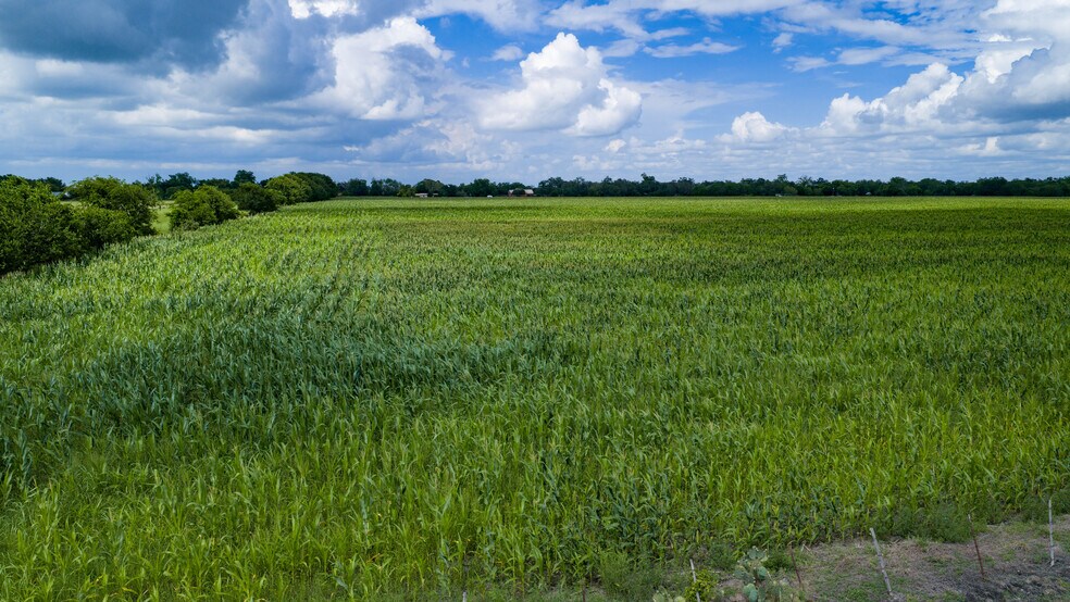 More Photos Of TBD Allison Rd, Staples Land For Sale