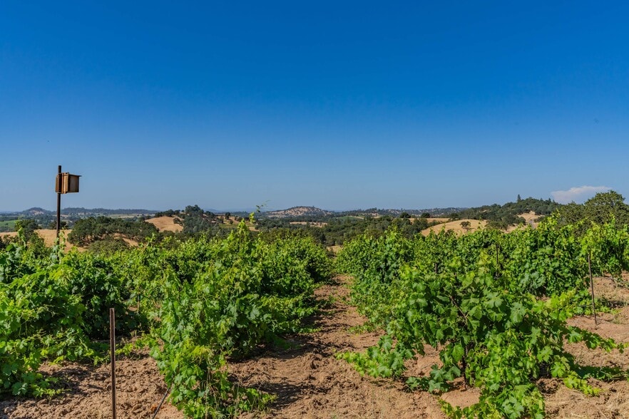 More Photos Of 18550 Silver Oak Ln, Plymouth Land For Sale