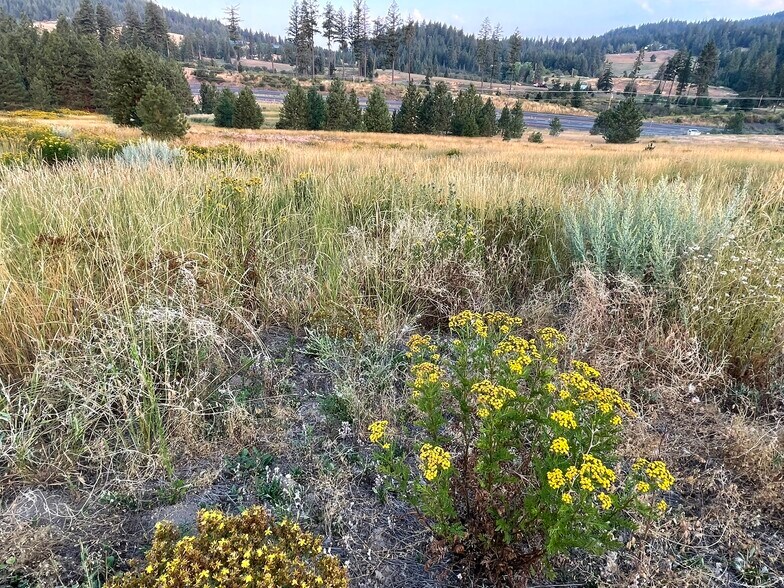 More Photos Of TBD S. Hwy 95 hwy, Worley Land For Sale