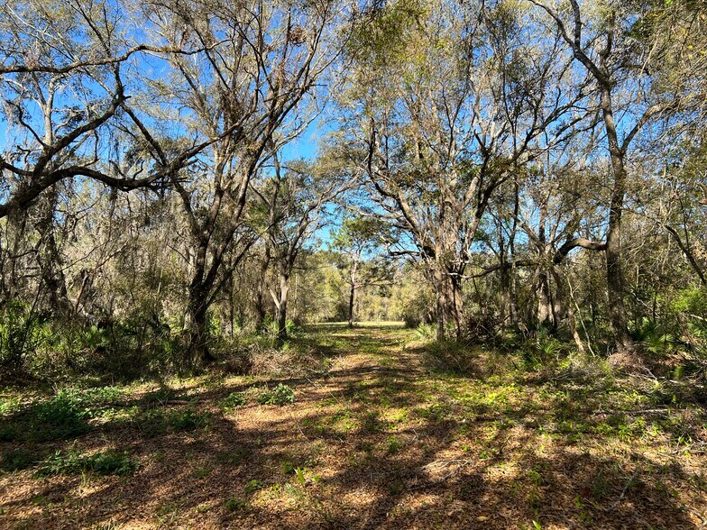 More Photos Of 0000 Tarpon Springs Rd, Odessa Land For Sale