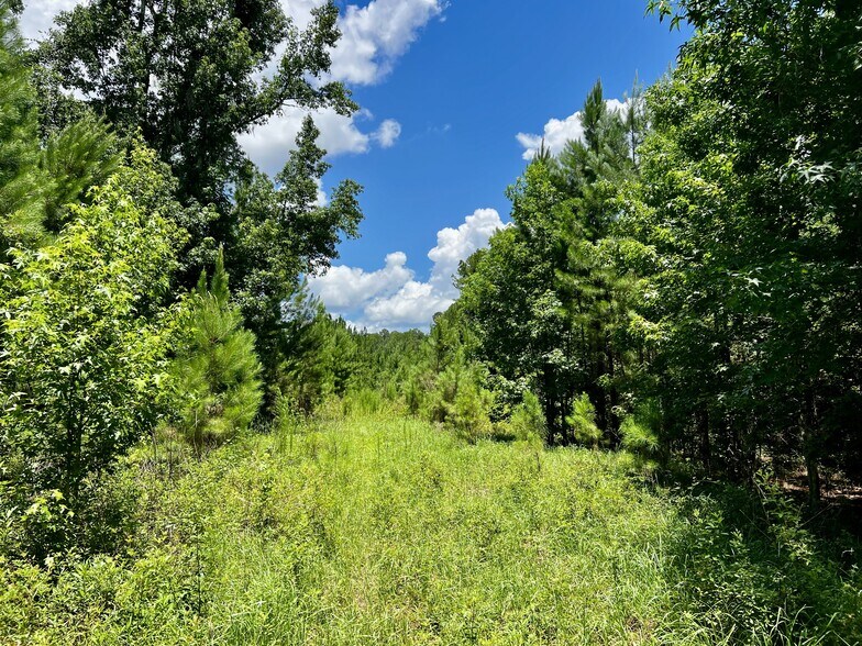 More Photos Of 000 New Kings Road, Jacksonville Land For Sale