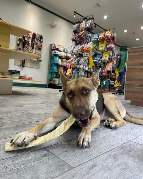 More Photos Of 218-220 S Myrtle Ave, Monrovia Storefront Retail Office For Lease