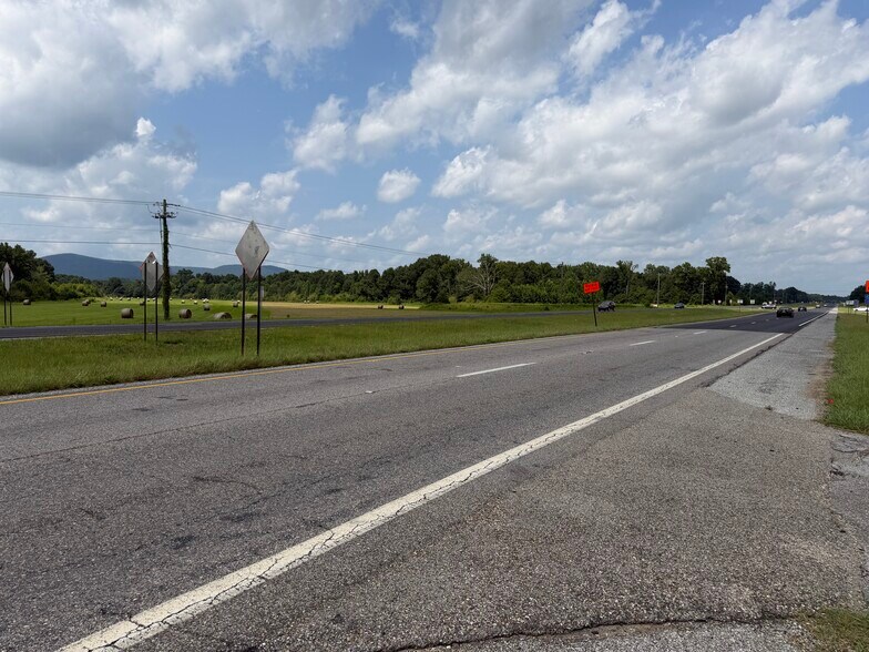Primary Photo Of 48079 Alabama 21 Hwy, Munford Land For Sale