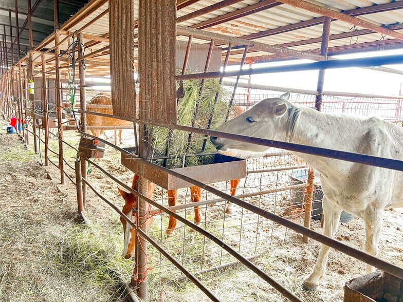 More Photos Of 4901 Eagle Pass Rd, Abilene Warehouse For Sale